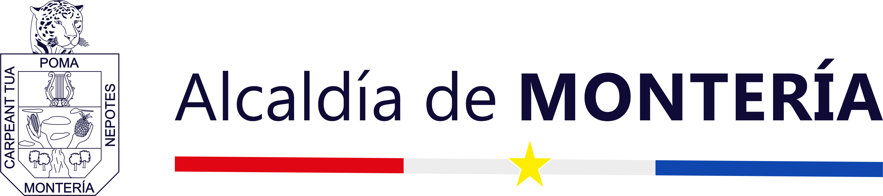 Organización